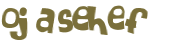 Desafio Captcha