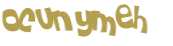 Captcha 챌린지