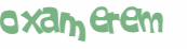 CAPTCHA 挑戰