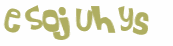 Captcha 챌린지