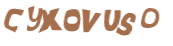 Wyzwanie captcha