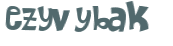 Captcha 챌린지