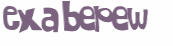CAPTCHA 挑戰