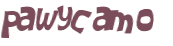 Desafio captcha