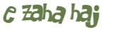 CAPTCHA 挑戰