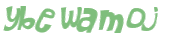 CAPTCHA 挑戰