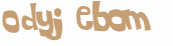 Captcha 챌린지