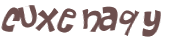 CAPTCHA 挑戰