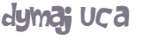 Wyzwanie captcha
