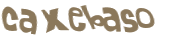 Captcha 챌린지
