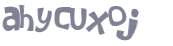 CAPTCHA 挑戰