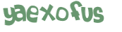 CAPTCHA 挑戰