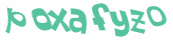 CAPTCHA 挑戰