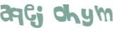 CAPTCHA 挑戰
