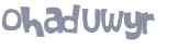 CAPTCHA 挑戰