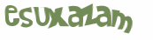 Wyzwanie captcha