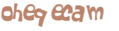 Desafio Captcha