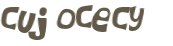 Wyzwanie captcha