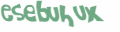 CAPTCHA-haaste