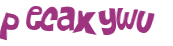 CAPTCHA 挑戰