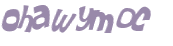 CAPTCHA 挑戰