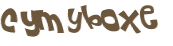 CAPTCHA 挑戰
