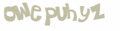 CAPTCHA 挑戰