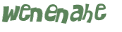 CAPTCHA 挑戰