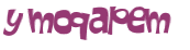 Captcha 챌린지
