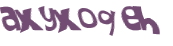 CAPTCHA 挑戰