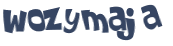 CAPTCHA 挑戰