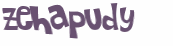 Wyzwanie captcha