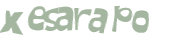 Desafio captcha