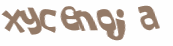 Desafio Captcha