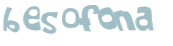 Captcha 챌린지