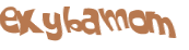 Desafio captcha