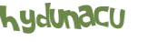 Captcha挑战