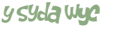 Wyzwanie captcha