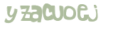 Wyzwanie captcha