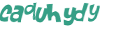 Wyzwanie captcha