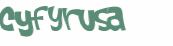CAPTCHA 挑戰