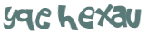 CAPTCHA 挑戰