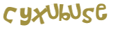 CAPTCHA 挑戰