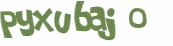 Wyzwanie captcha