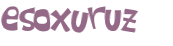 キャプチャ認証