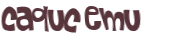 Wyzwanie captcha