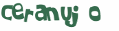 CAPTCHA 挑戰