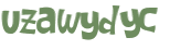 Wyzwanie captcha