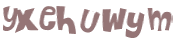 CAPTCHA 挑戰