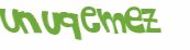Captcha 챌린지